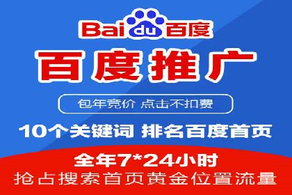 百度竞价广告案例分析：成功之道揭秘